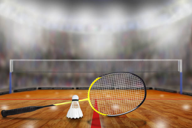 Specialized sports courts at Bonsai School of Sports